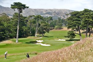 Cal Club 8th Fescue